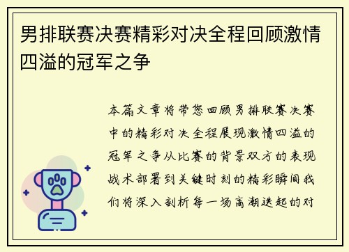 男排联赛决赛精彩对决全程回顾激情四溢的冠军之争